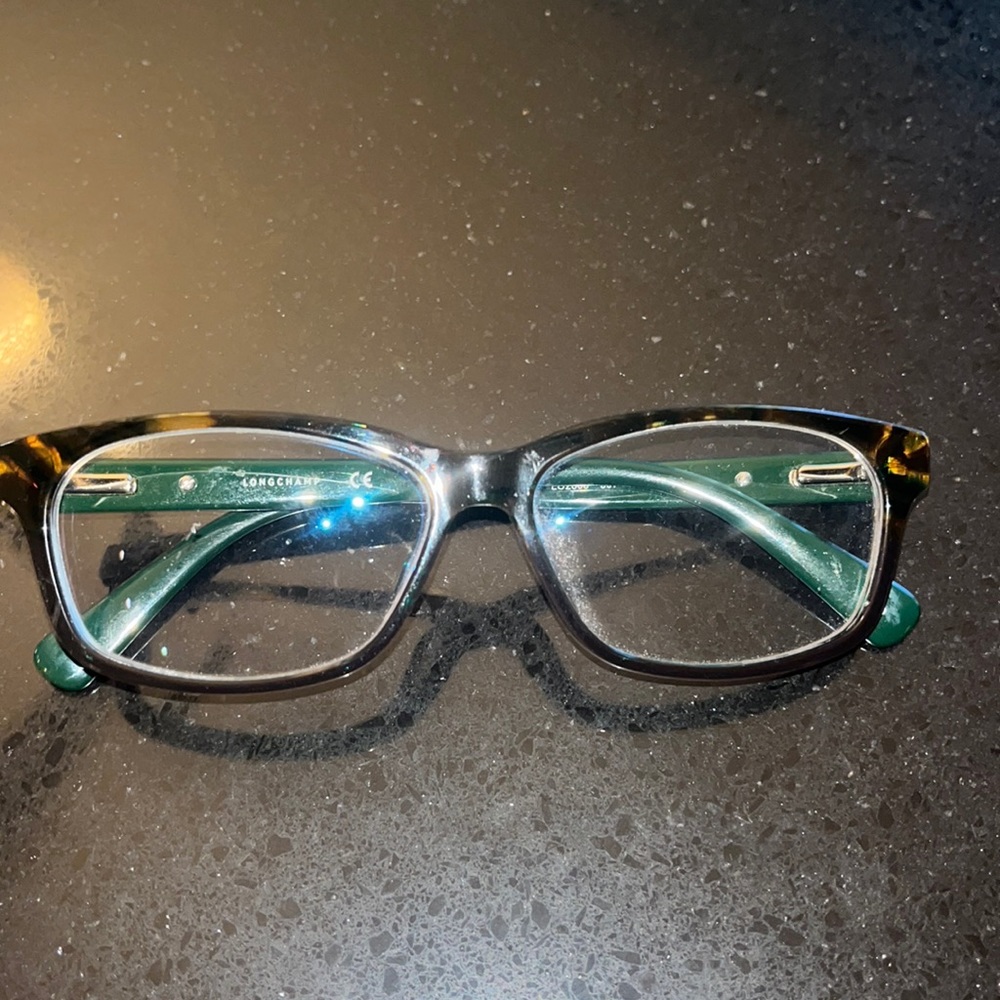 Longchamp Designer Tortoise Frames - image 1